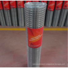 1/4" 1/2" and 1" Hole Size Galvanized Welded Wire Mesh